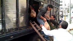 indocumentados 5