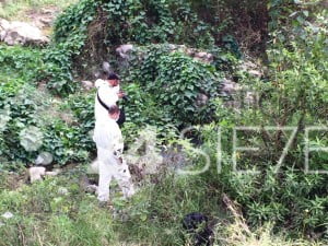 encuentran cuerpo en el rio (3)