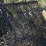 IMG-20160106-WA0028