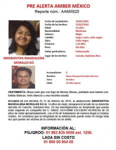 alerta1