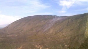 INCENDIO TULA (4)