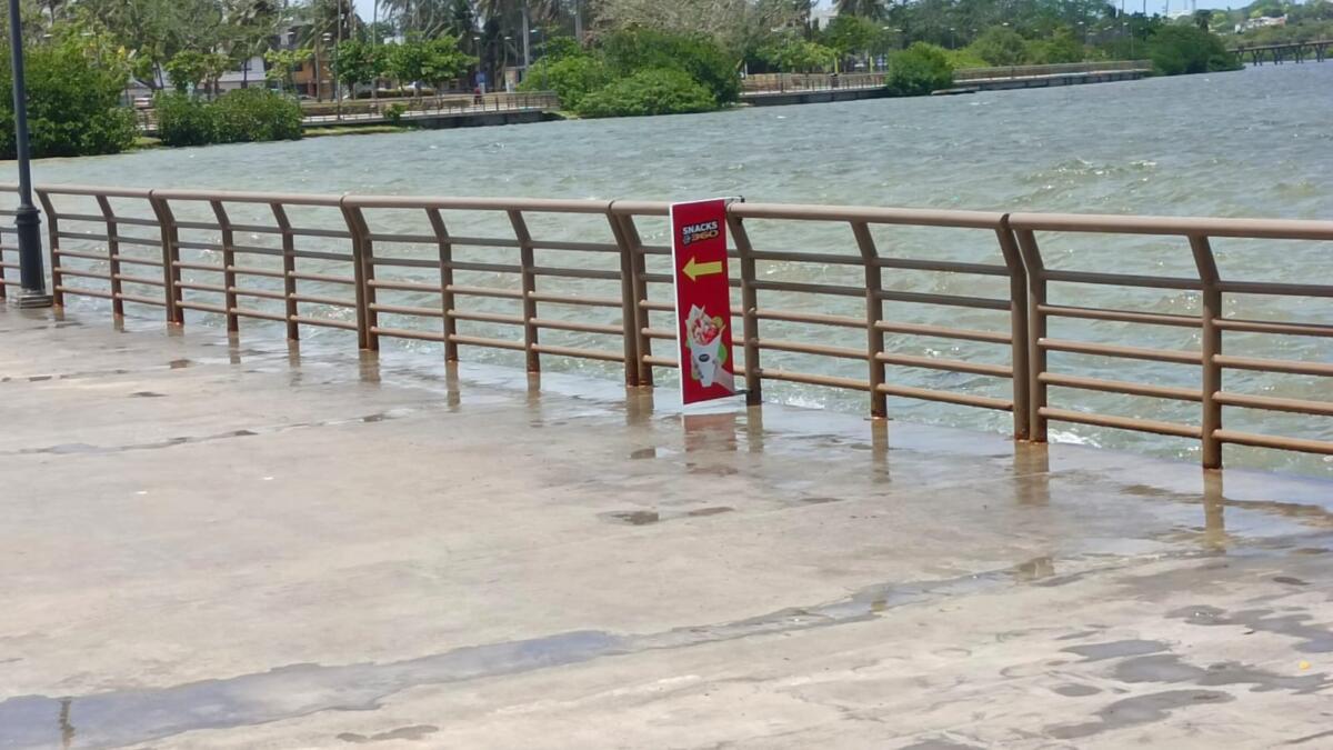 Se Desborda Laguna Del Carpintero Y El Canal De La Cortadura En Tampico