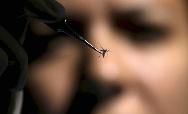 En un año, zika afectará a entre 3 y 4 millones de personas en América