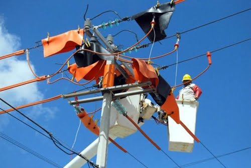 CFE duplica pérdidas netas en 2015