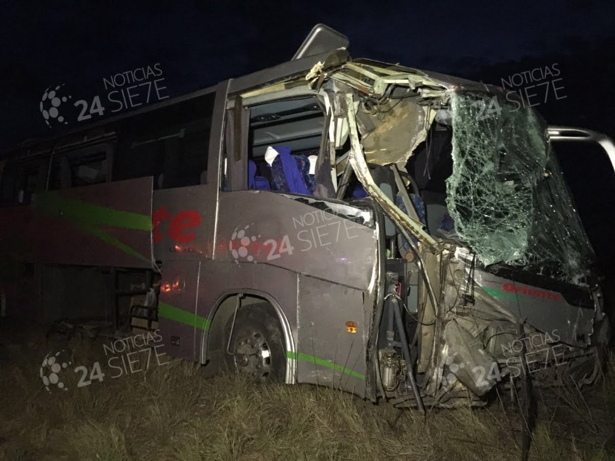 Autobús se impacta contra árbol, deja persona lesionada