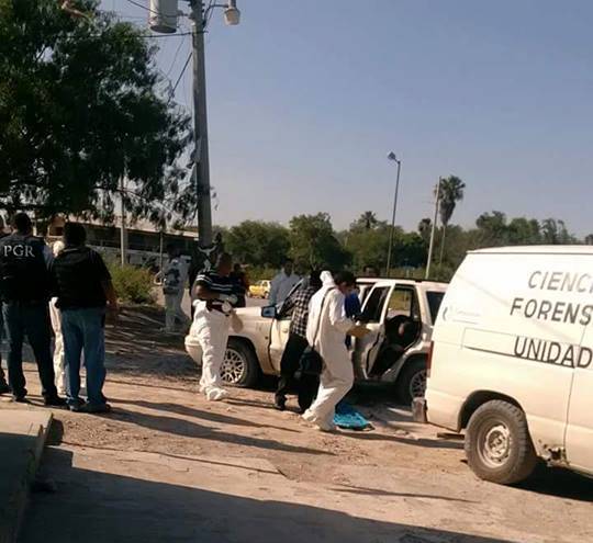 Mueren 8 delincuentes, tras balaceras en Reynosa