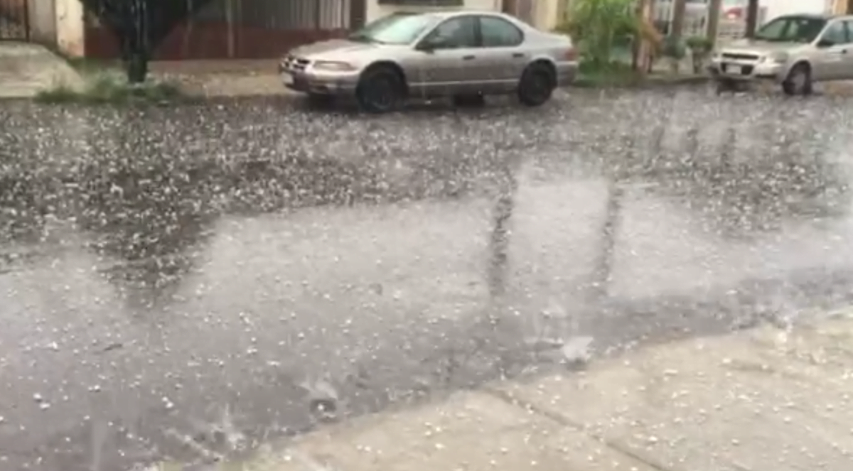 Árboles caídos y cortes de luz durante fuerte granizada en Victoria