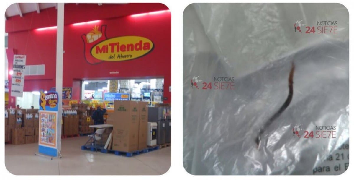 Denuncian a centro comercial por vender carne de puerco con gusanos en Tamaulipas