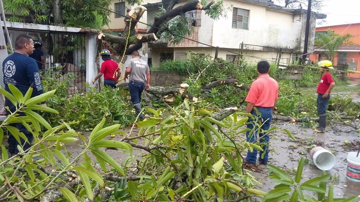 160 hogares afectados en la zona sur tras entrada de “Danielle”