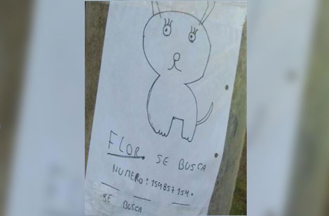 Niños buscan a su perrita perdida con dibujo hecho por ellos