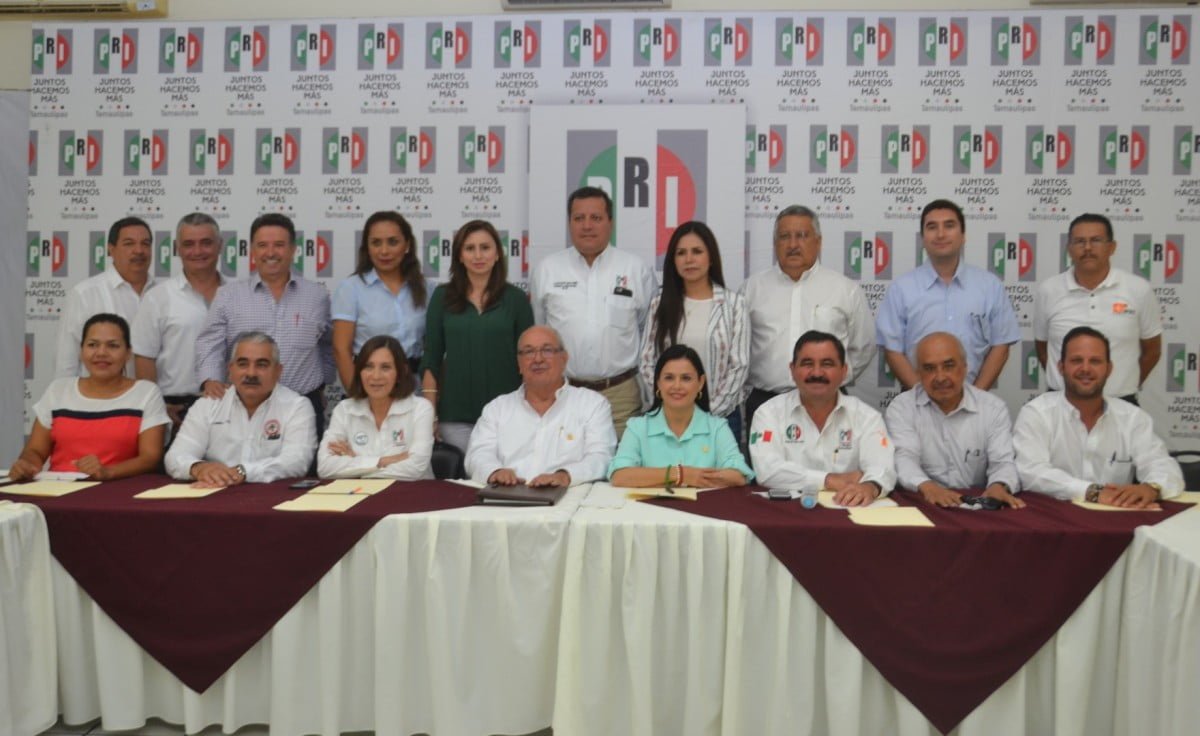 PRI nacional baja líneas de acción al CDE
