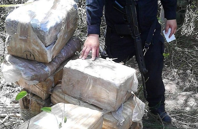 Aseguran 292 kilos de marihuana en Reynosa