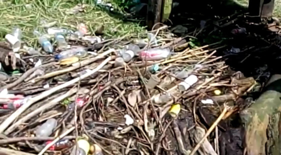 En un basurero clandestino está convertido el río Pánuco