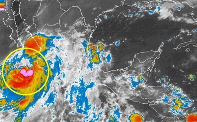 Se intensifica tormenta tropical «Newton» en el pacífico