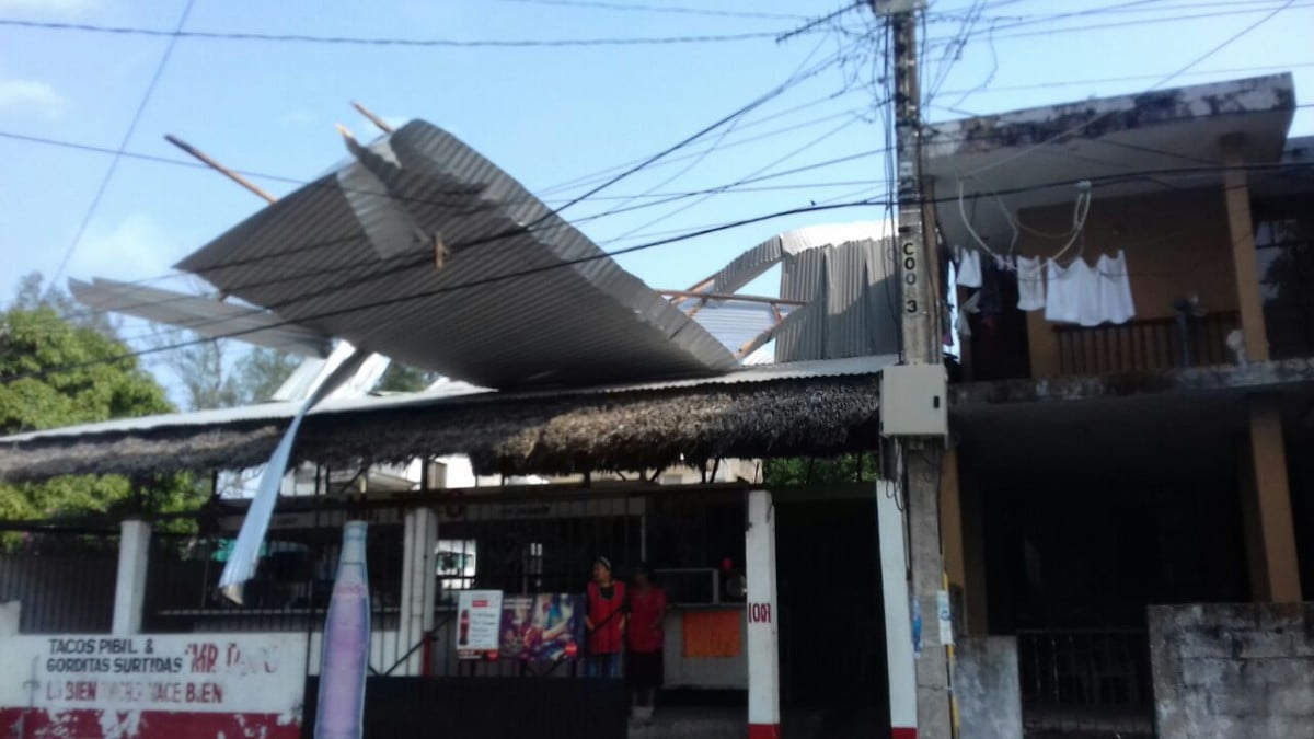 Caída de árboles y anuncios tras ingreso del Frente Frío 15 en el sur