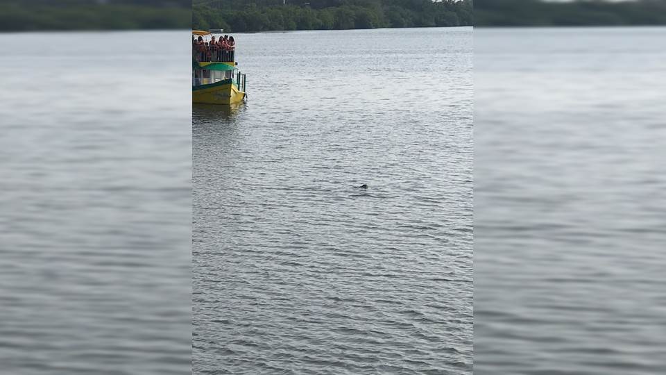 Muere ahogado en Laguna del Carpintero