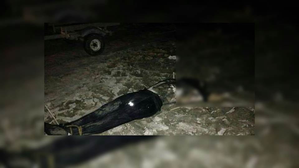 Muere al intentar cruzar el Río Bravo