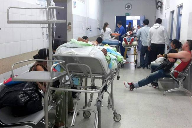 Un perro muerde y causa heridas graves a niña de 6 años