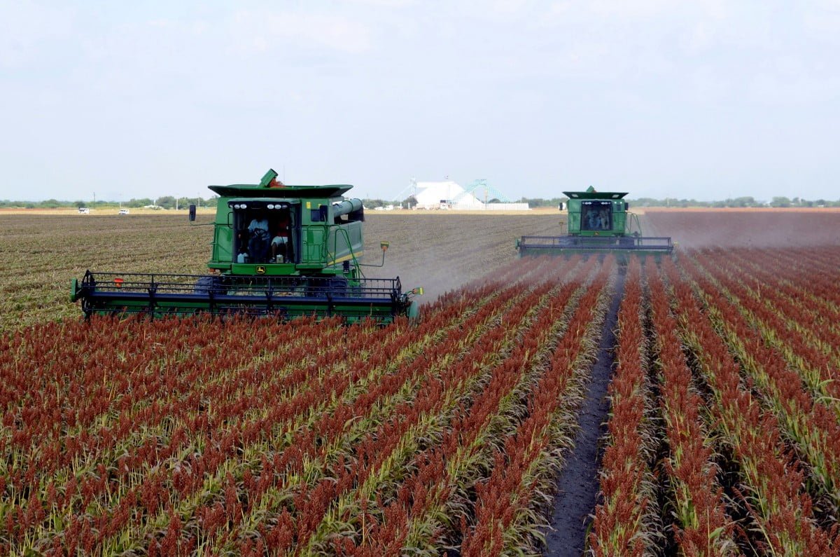 Garantizan abasto de agua para municipios agrícolas fronterizos