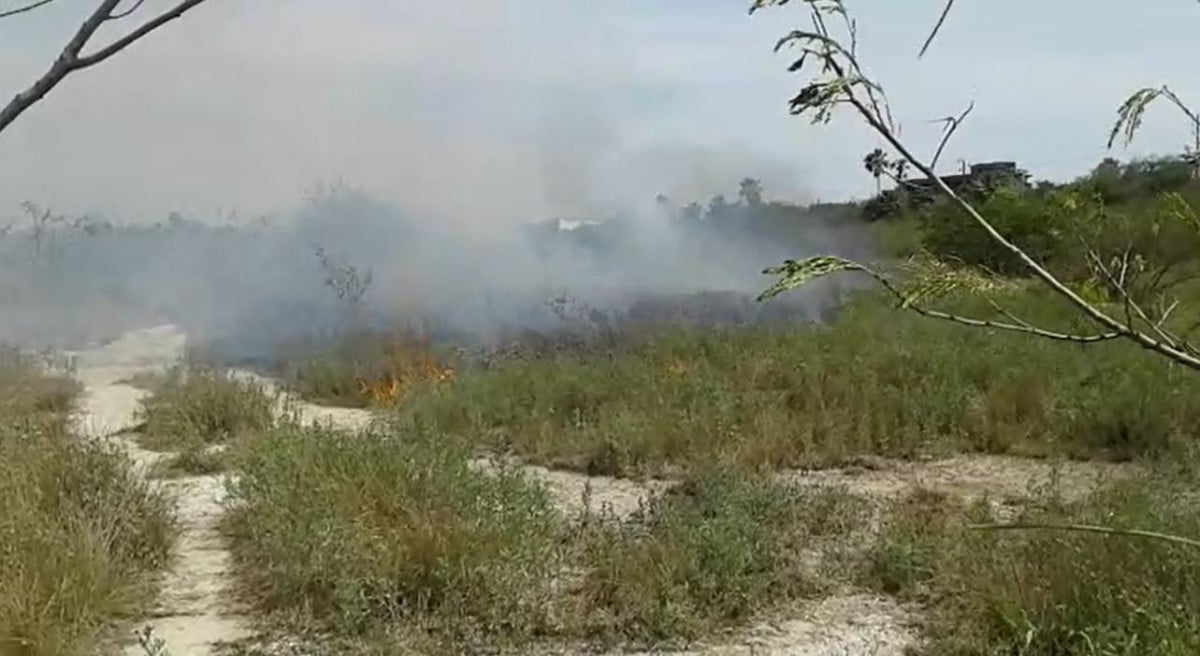 Ola de calor en el sur dispara incendios en pastizales (VIDEO)