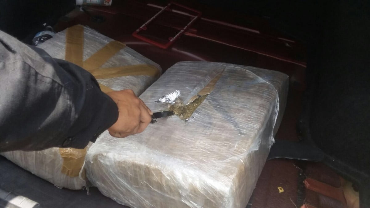 Aseguran 73 kilos de marihuana en dos operativos