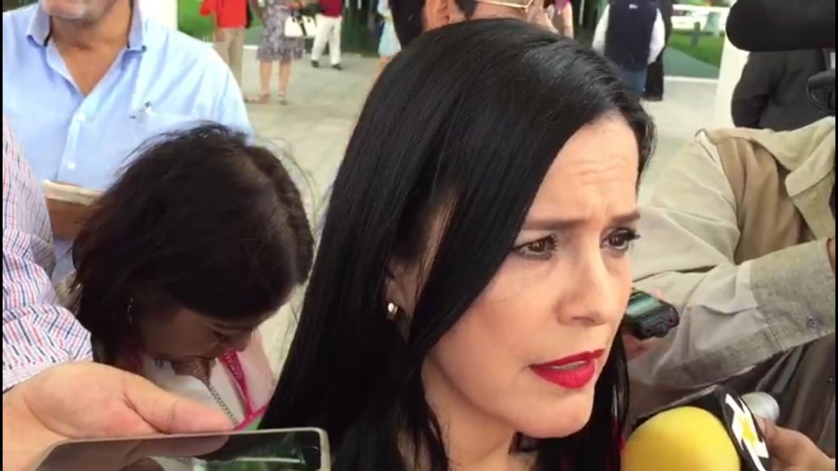 Enfrentamos grave problema de seguridad, como Gobierno dejamos de hacer muchas cosas: Aída Zulema