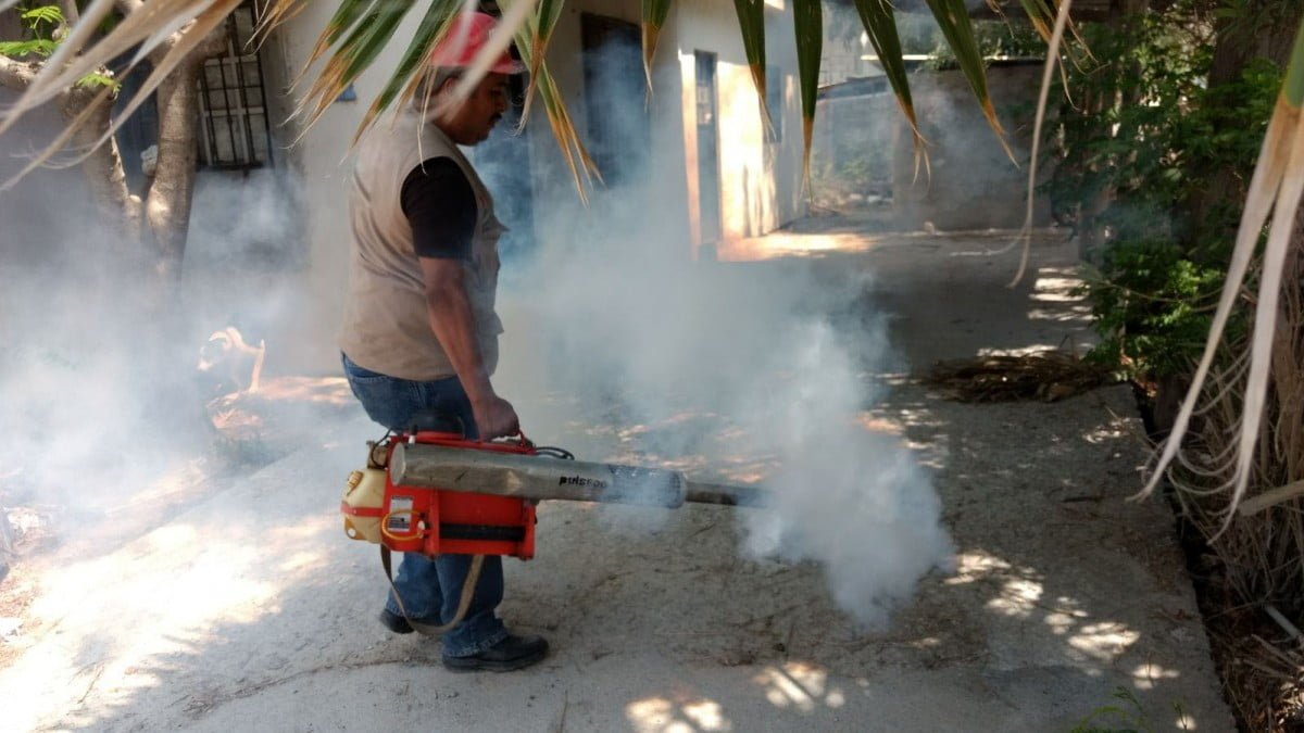 Intensifica acciones contra el dengue, zika y chikungunya en Tamaulipas