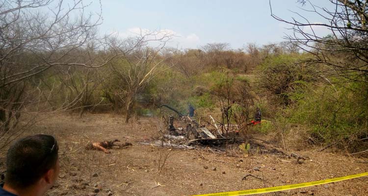 Se desploma avioneta; hay un muerto