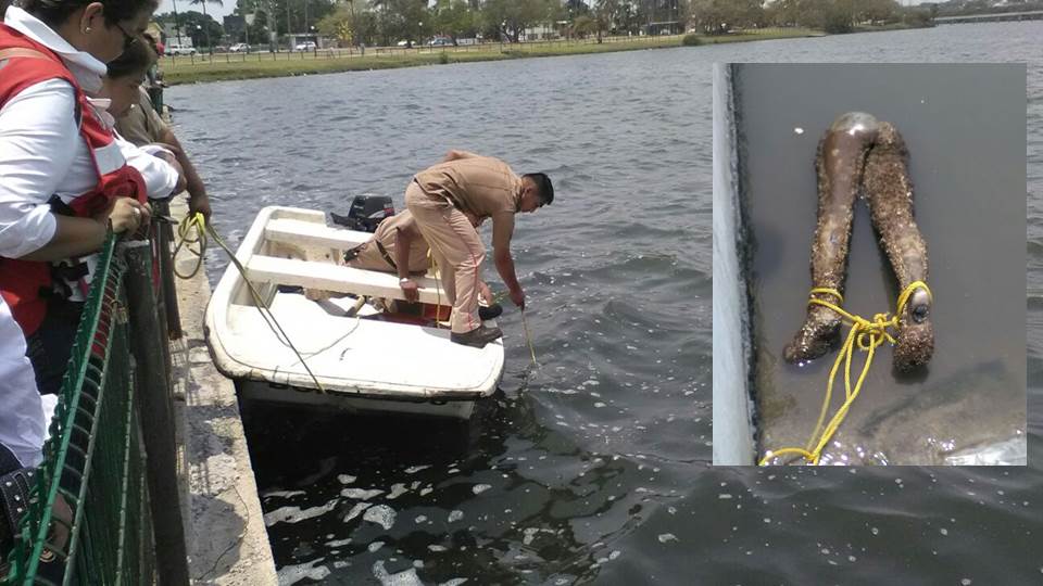 Movilización de P. C. en laguna del Carpintero por supuesto ahogado