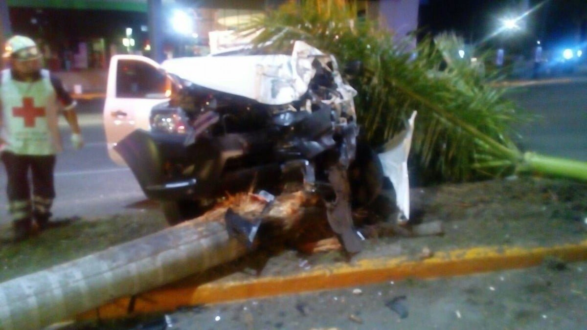 Conductor derriba palmera en Avenida Hidalgo