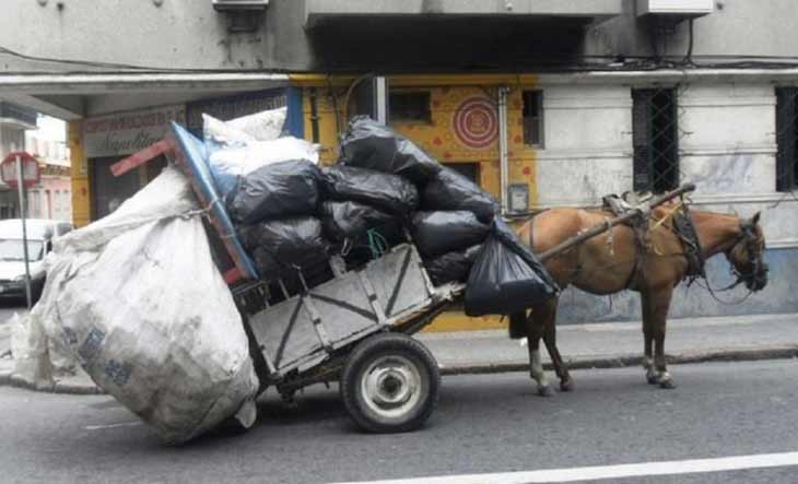 Comisión de Ecología no puede frenar el maltrato de caballos