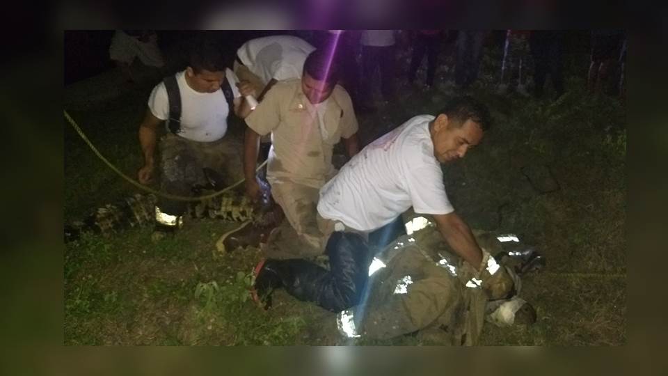 Cocodrilo aparece en colonia de Tampico y causa alarma durante la noche