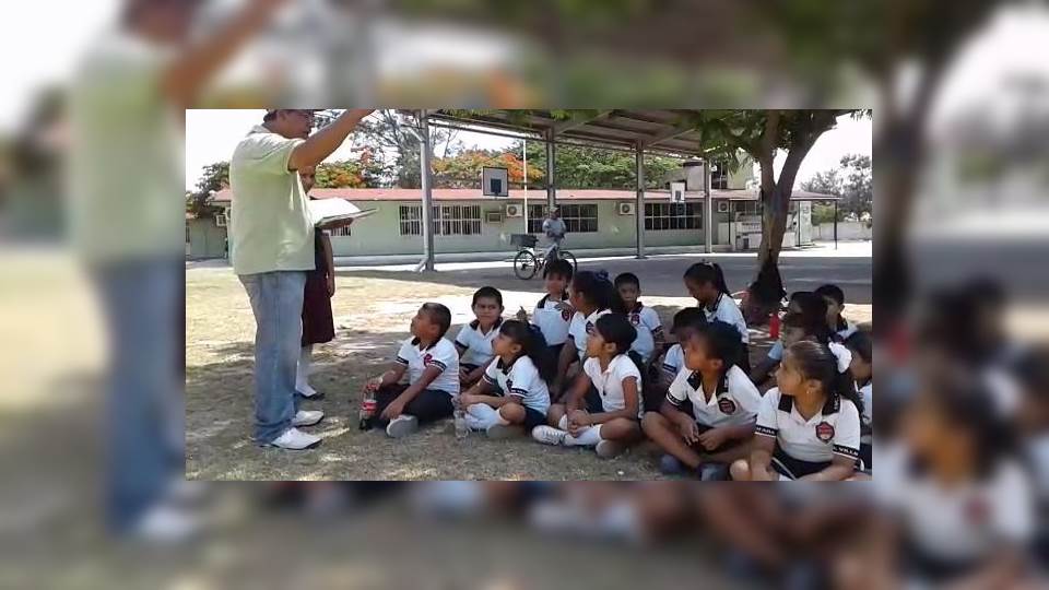 Siguen sin luz y deben tomar clases bajo un árbol