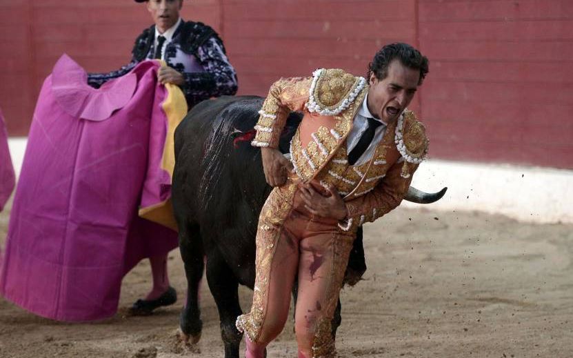 Muere torero tras recibir cornada