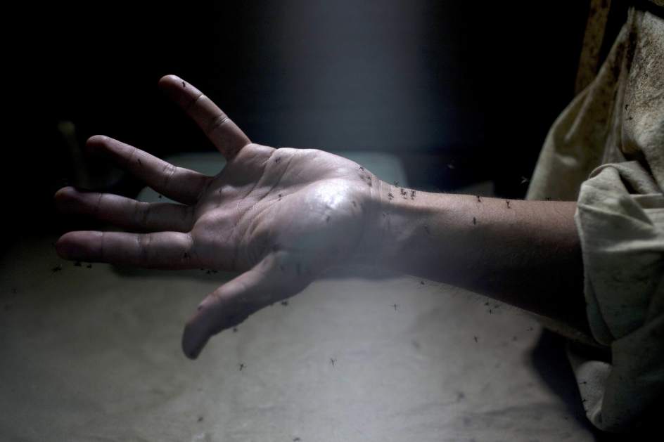 Encabeza Victoria casos de zika en Tamaulipas
