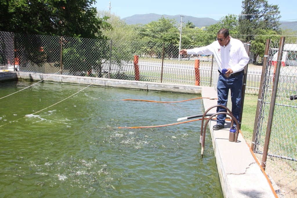 Impulsan producción acuícola en facultad de Veterinaria