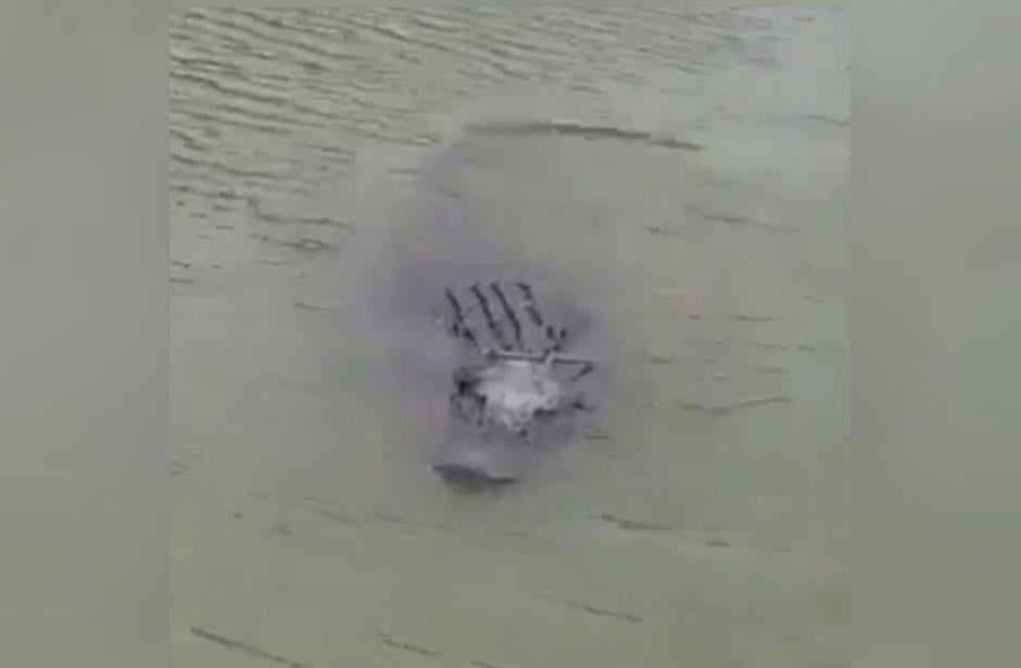 Captan por primera vez a caimán en el Río Bravo (VIDEO)