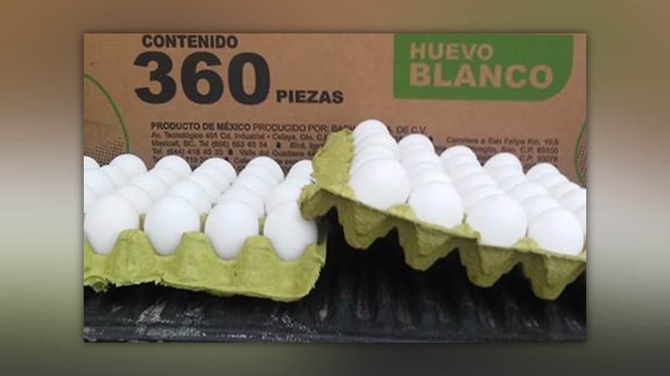 Aseguran tapas de huevo manchadas de sangre y excremento