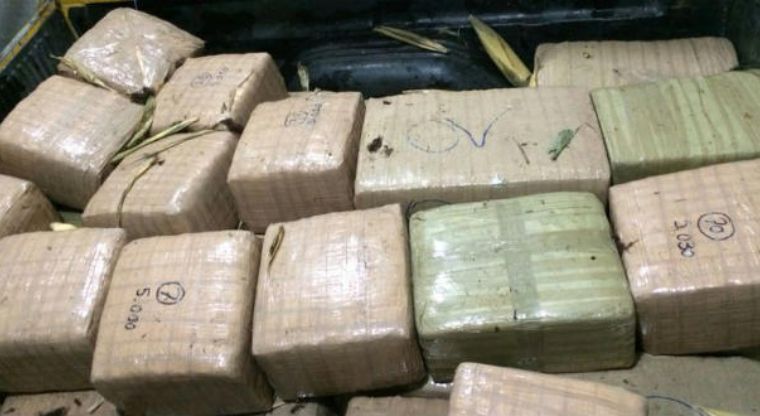 Decomisan 350 kilos de droga en Reynosa