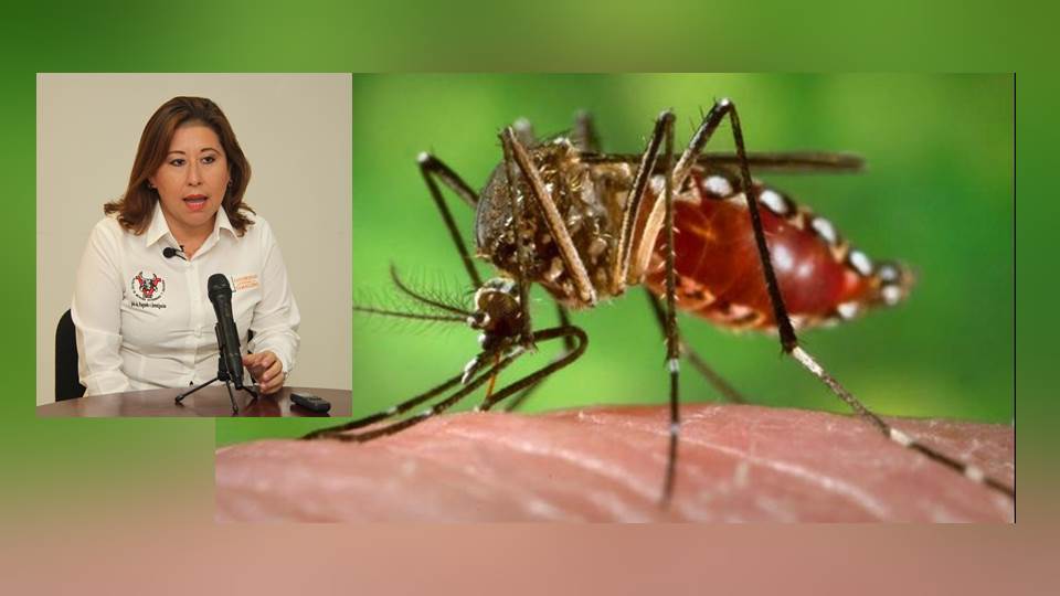 Trabaja UAT en proyectos de análisis del Zika