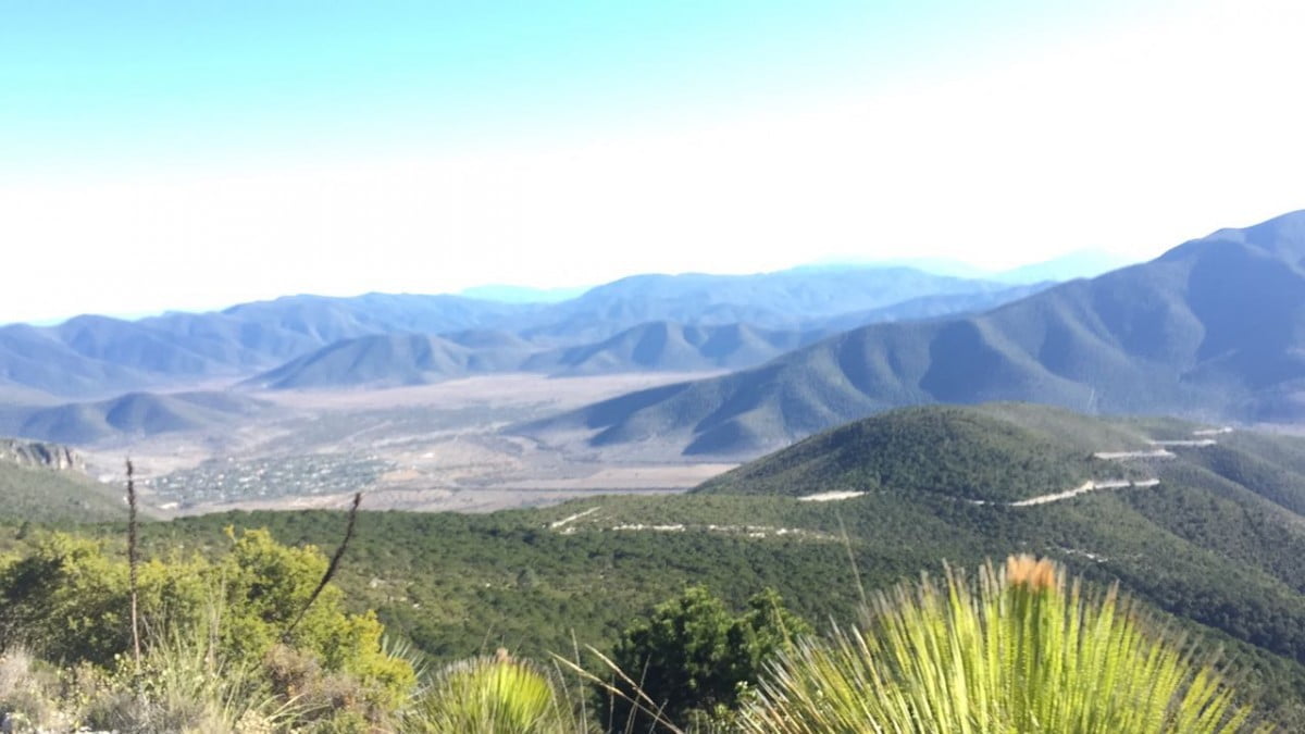 Realiza UAT estudios para la conservación de ecosistemas de alta montaña