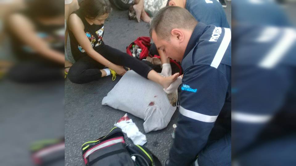 Matan a perro callejero que atacó  a dos personas