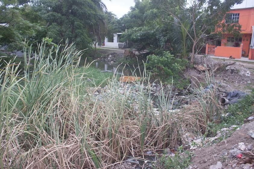 Denuncian a responsables de rellenar lagunas en Madero
