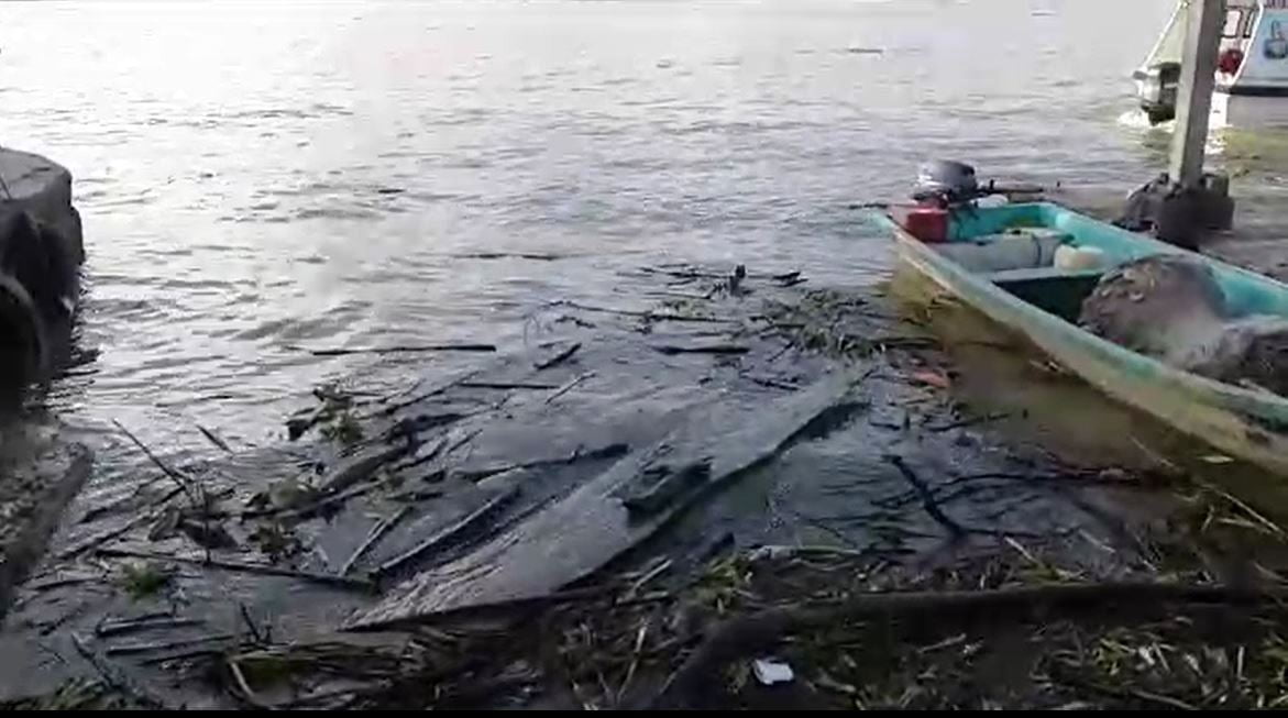 Alertan a lancheros por palizada en río Pánuco