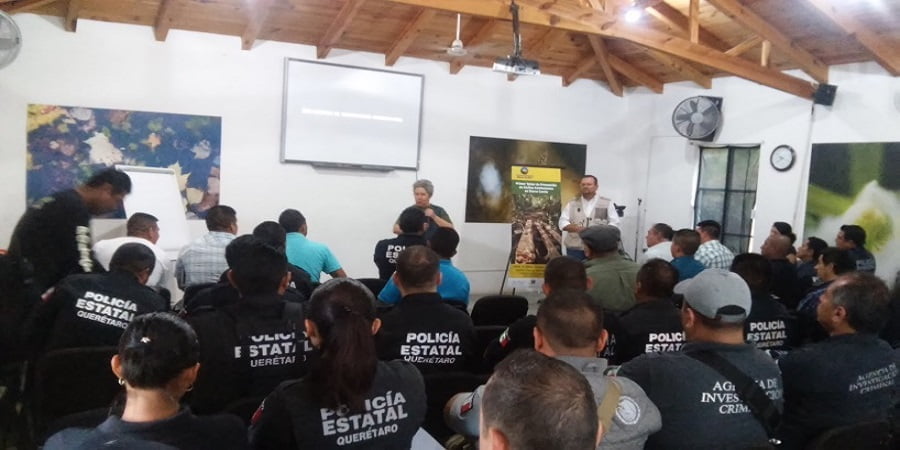 Capacitan a policías federales para combatir delitos ambientales