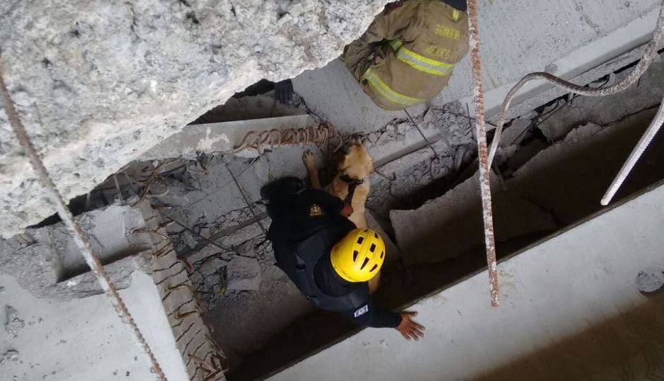 Hallan 8 cuerpos más en derrumbe de Álvaro Obregón