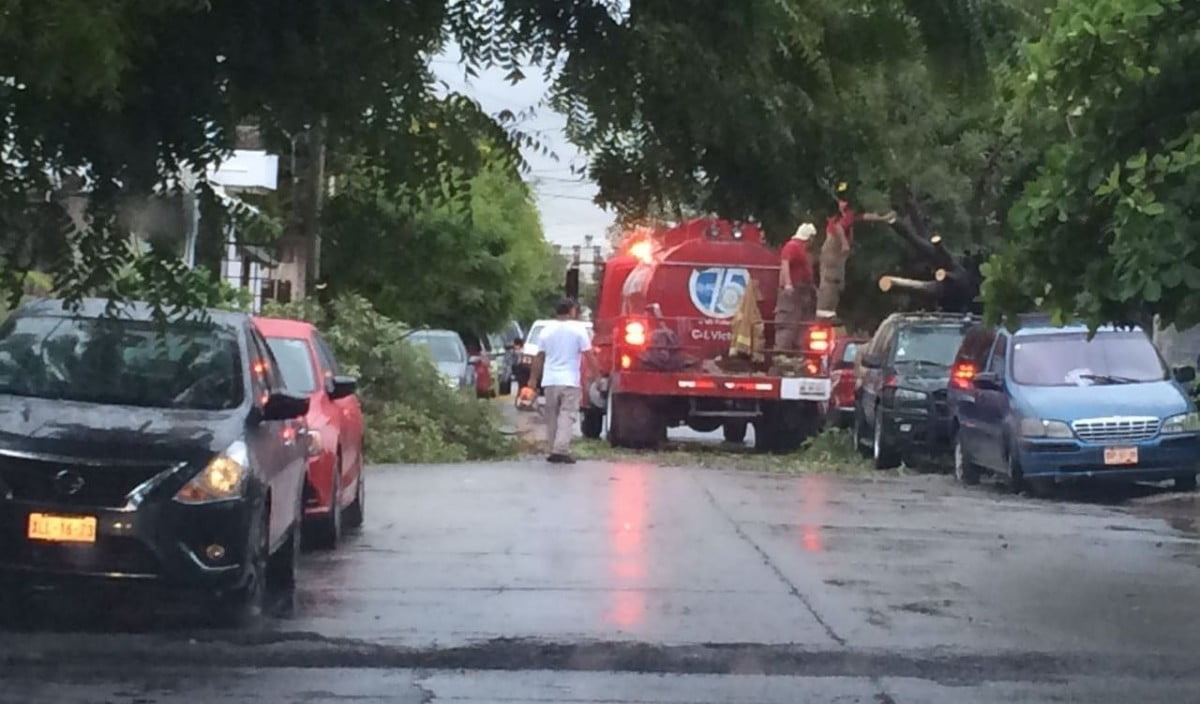 Activan brigadas de Protección Civil ante lluvia en Victoria