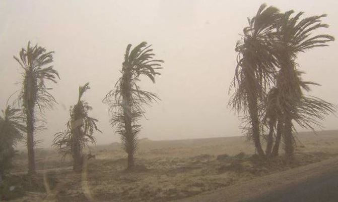 Rachas de viento alcanzarán los 60 km/h en sur de Tamaulipas