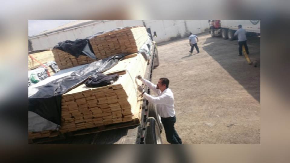 Impide PROFEPA ingreso de madera plagada proveniente de Estados Unidos