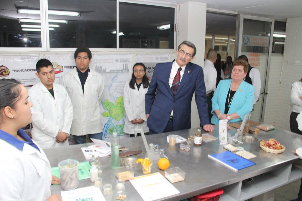 Elaboran mazapán de “maguacata” con propiedades nutritivas